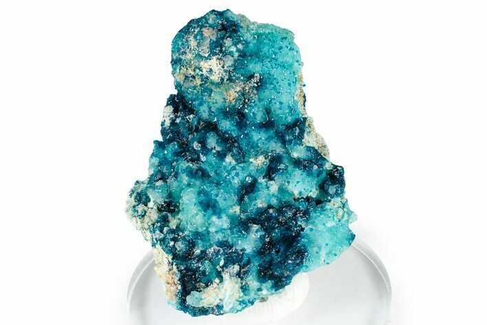 Sparkling Blue Veszelyite Cluster on Hemimorphite - Congo #351593